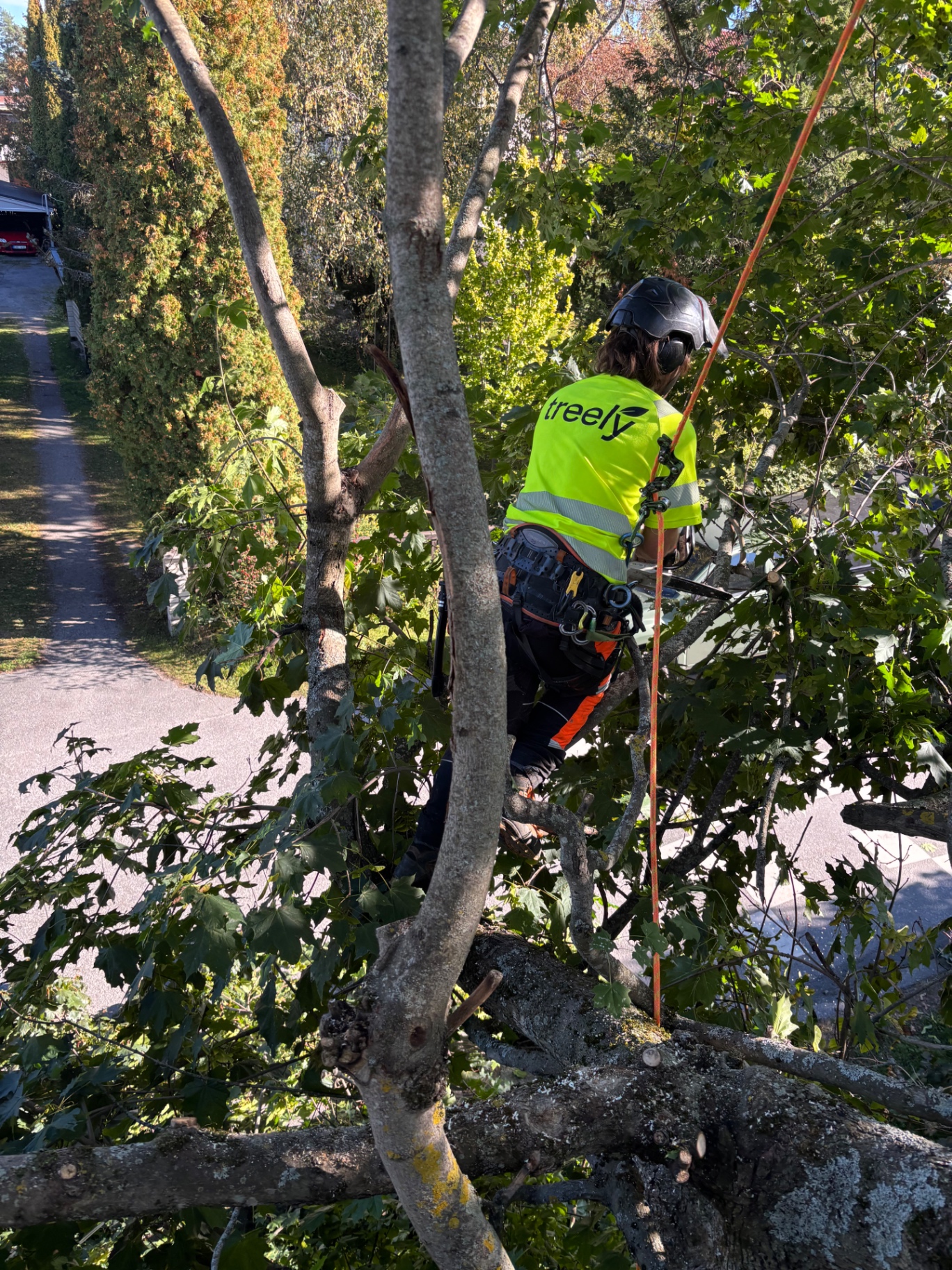 Arborist vid en bostadsgata